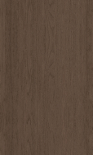 ModernWood Texture