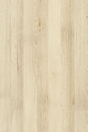 ModernWood Texture