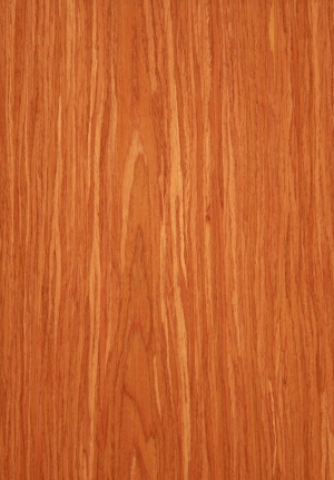 ModernWood Texture
