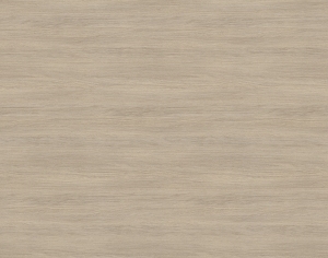 ModernWood Texture