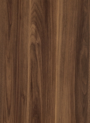 ModernWood Texture