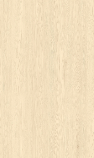 ModernWood Texture