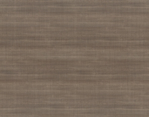 ModernWood Texture