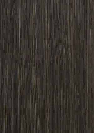 ModernWood Texture