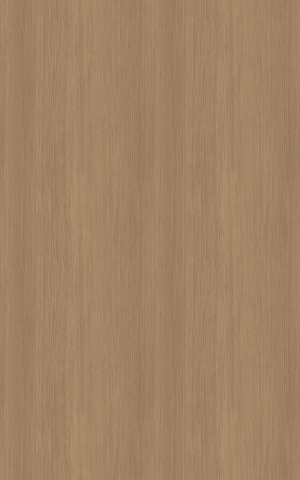 ModernWood Texture