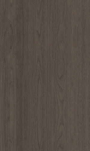 ModernWood Texture