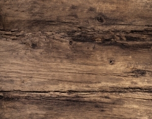 ModernWood Texture
