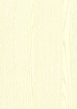 ModernWood Texture