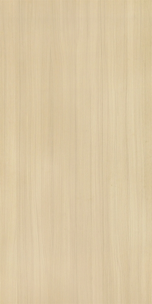ModernWood Texture