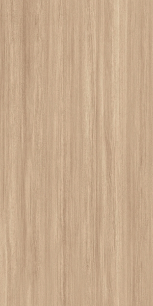 ModernWood Texture