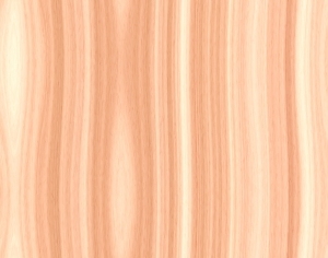 ModernWood Texture