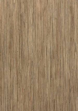 ModernWood Texture