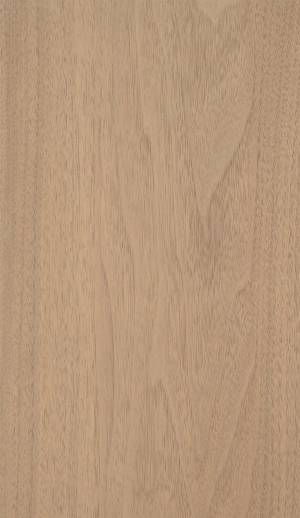 ModernWood Texture