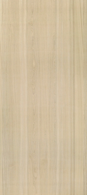 ModernWood Texture