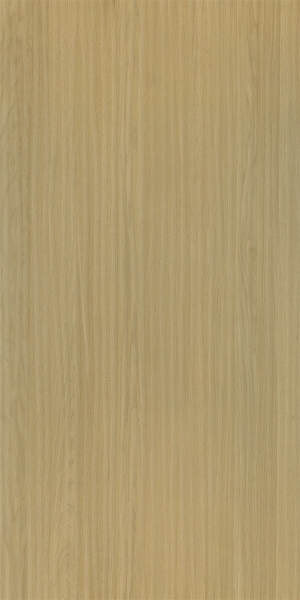 ModernWood Texture