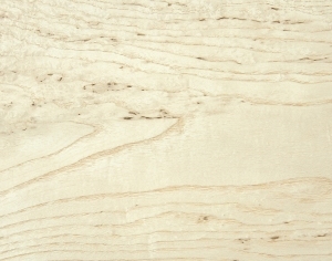 ModernWood Texture