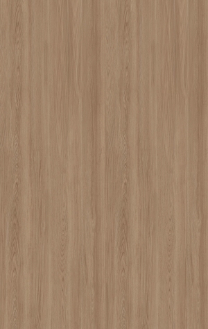 ModernWood Texture