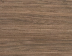 ModernWood Texture