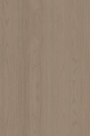 ModernWood Texture