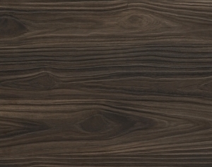 ModernWood Texture
