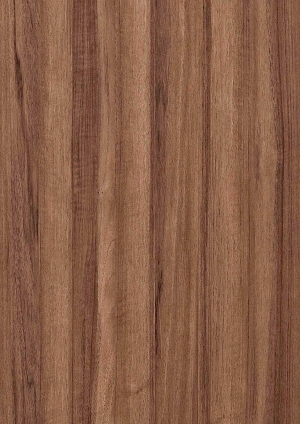 ModernWood Texture