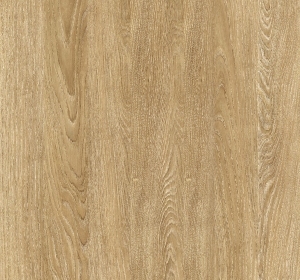 ModernWood Texture