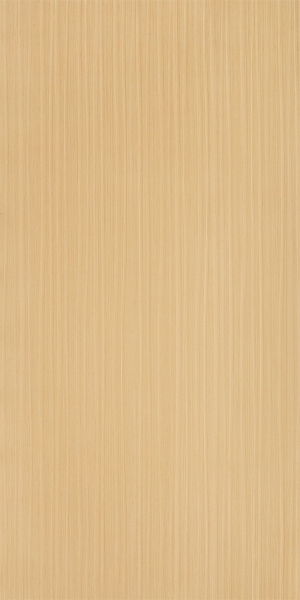 ModernWood Texture