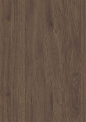 ModernWood Texture