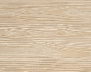 ModernWood Texture