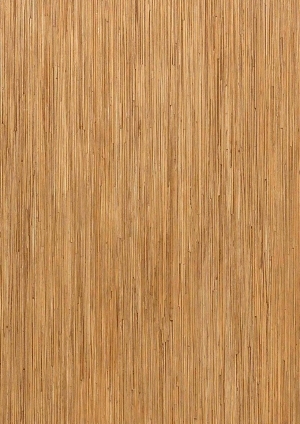 ModernWood Texture