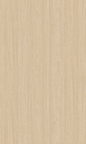 ModernWood Texture