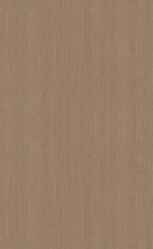 ModernWood Texture