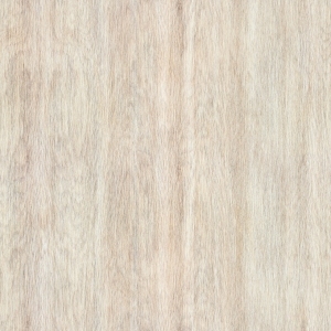 ModernWood Texture