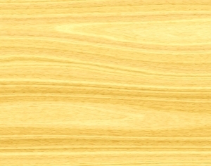 ModernWood Texture