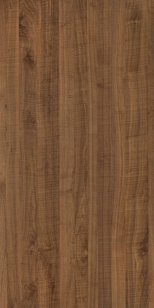 ModernWood Texture