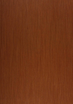 ModernWood Texture