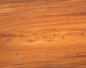 ModernWood Texture