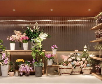 Modern Flower Shop-ID:559360039