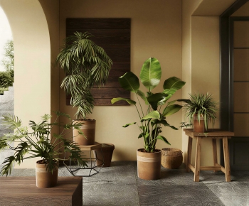 Wabi-sabi Style Ground Green Plant Potted Plants-ID:278696069