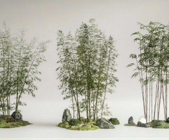 Modern Bamboo-ID:293278937