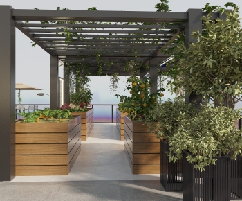 Modern Courtyard/landscape-ID:152345907