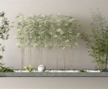 Modern Bamboo-ID:205914024