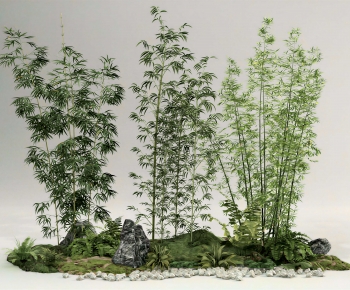 Modern Plant Landscaping-ID:198462968