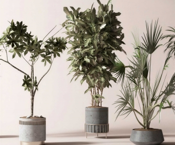 Modern Ground Green Plant Potted Plants-ID:452138902