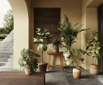 Wabi-sabi Style Potted Green Plant-ID:134848127