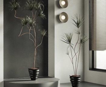 Modern Ground Green Plant Potted Plants-ID:854479074