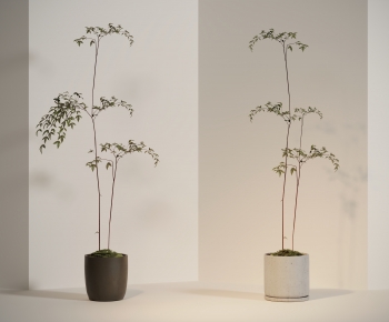 Modern Ground Green Plant Potted Plants-ID:916580927