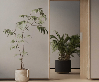 Modern Ground Green Plant Potted Plants-ID:956931175