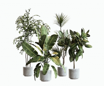 Modern Ground Green Plant Potted Plants-ID:259020091