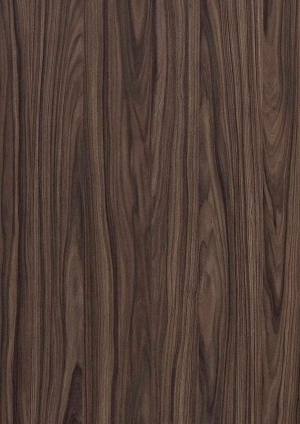 ModernWood Texture